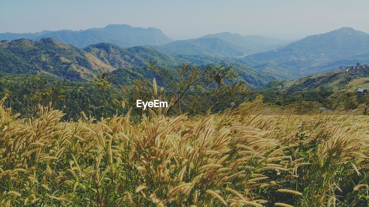 Scenic view of mountains against clear sky