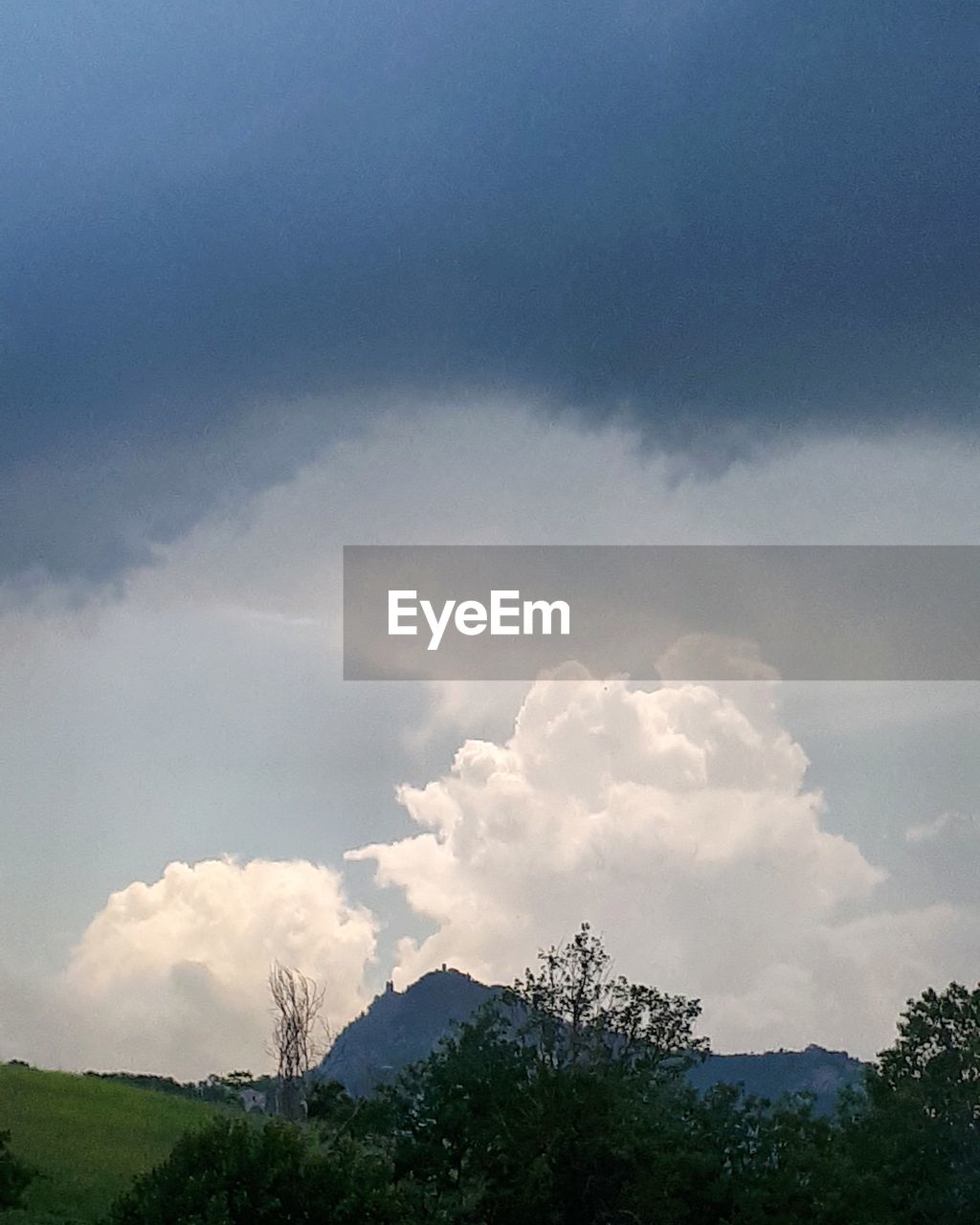 LOW ANGLE VIEW OF TREES ON MOUNTAIN AGAINST SKY