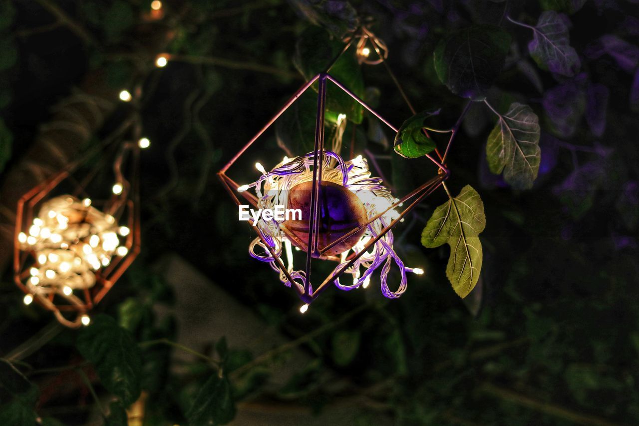 Close-up of christmas lights hanging from tree