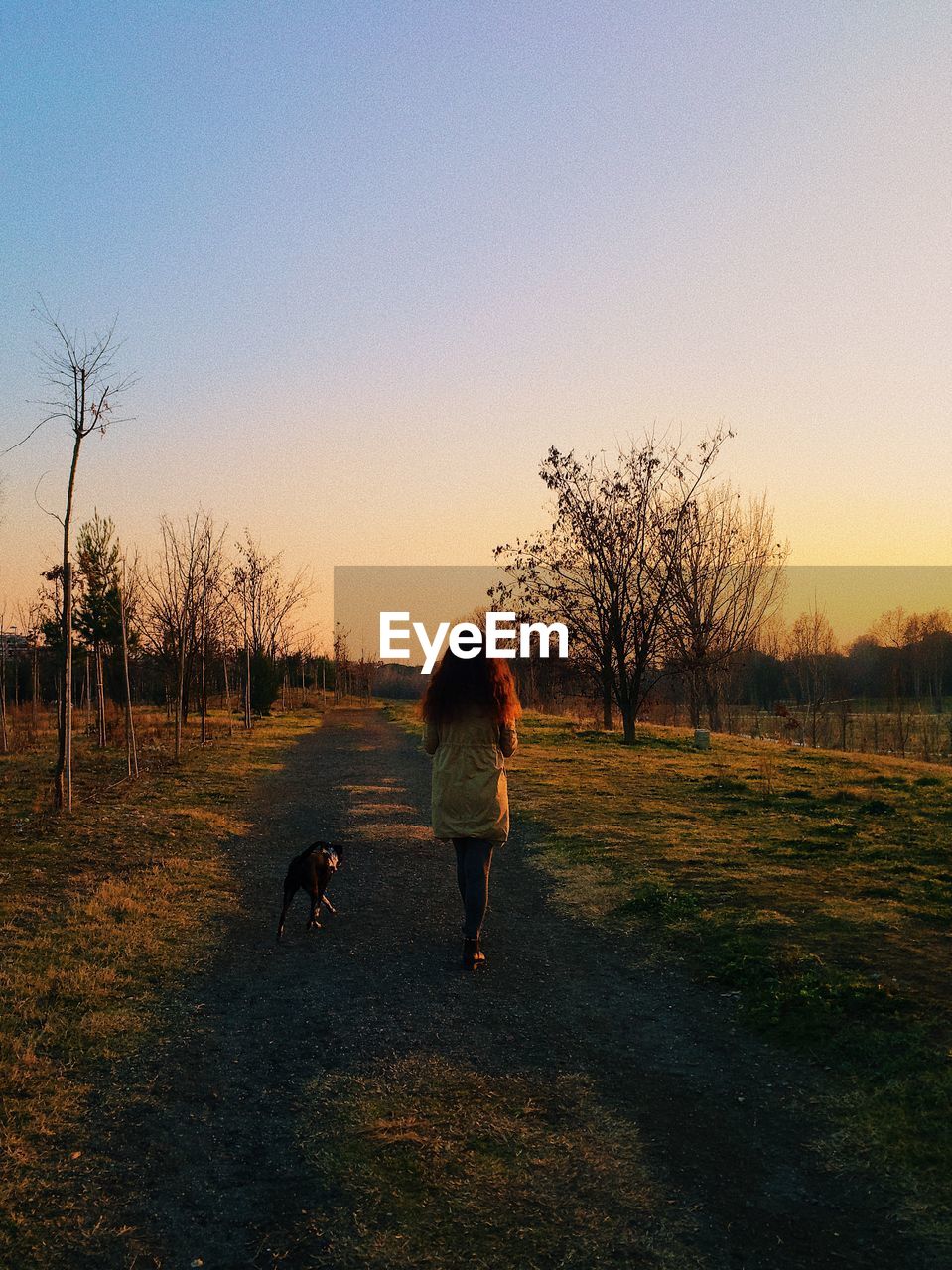 Rear view of woman with dog walking on field against clear sky during sunset