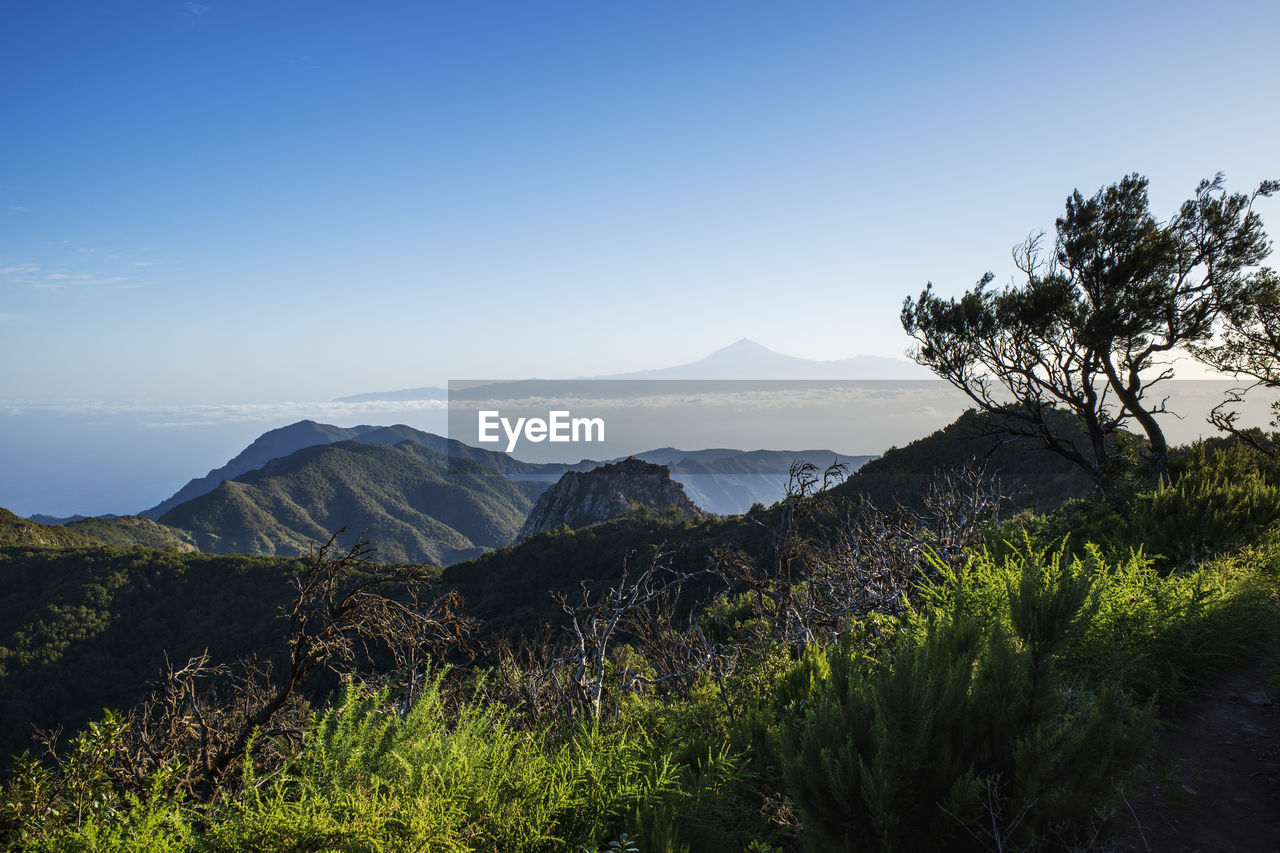 Clear sky over summit in garajonay national park