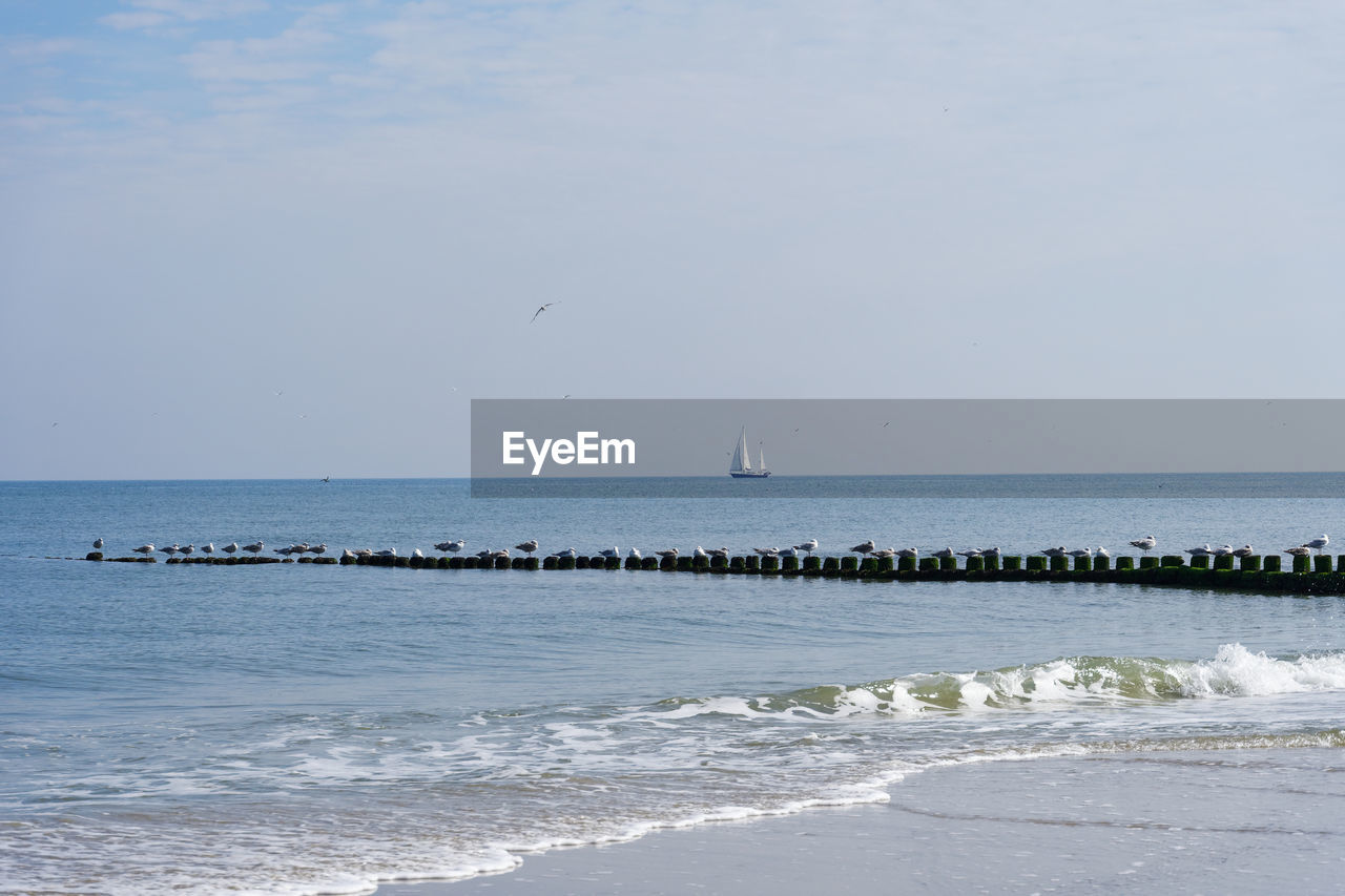 Scenic view of sea against sky with sailboat