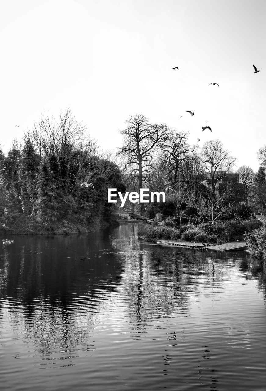 DUCKS FLYING OVER LAKE AGAINST SKY