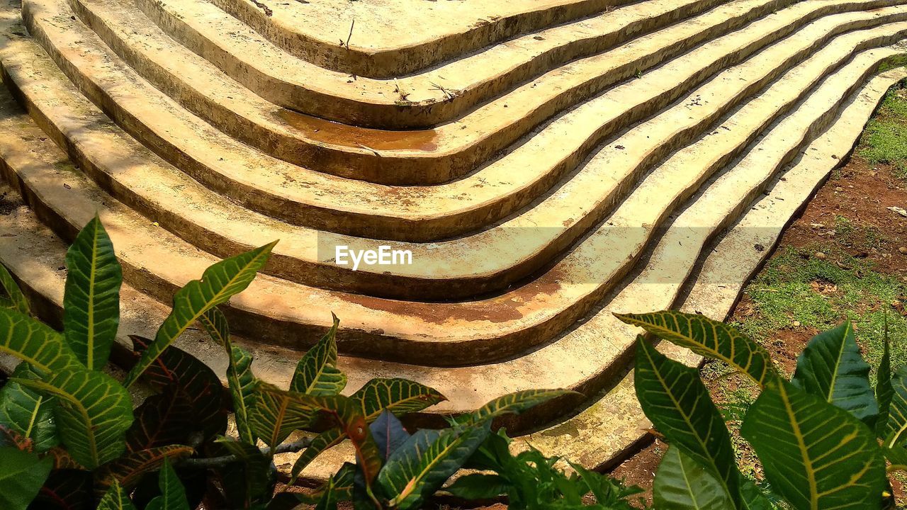 growth, plant, nature, pattern, no people, soil, day, leaf, plant part, high angle view, land, agriculture, terraced field, sunlight, landscape, beauty in nature, field, terrace, outdoors, green, tranquility, jungle, garden, scenics - nature, full frame, rice paddy, rural scene, rice, striped