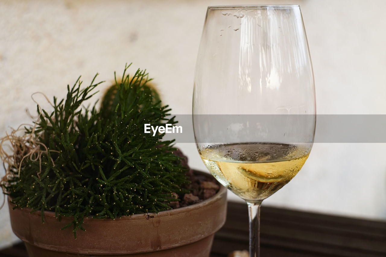 CLOSE-UP OF BEER IN GLASS