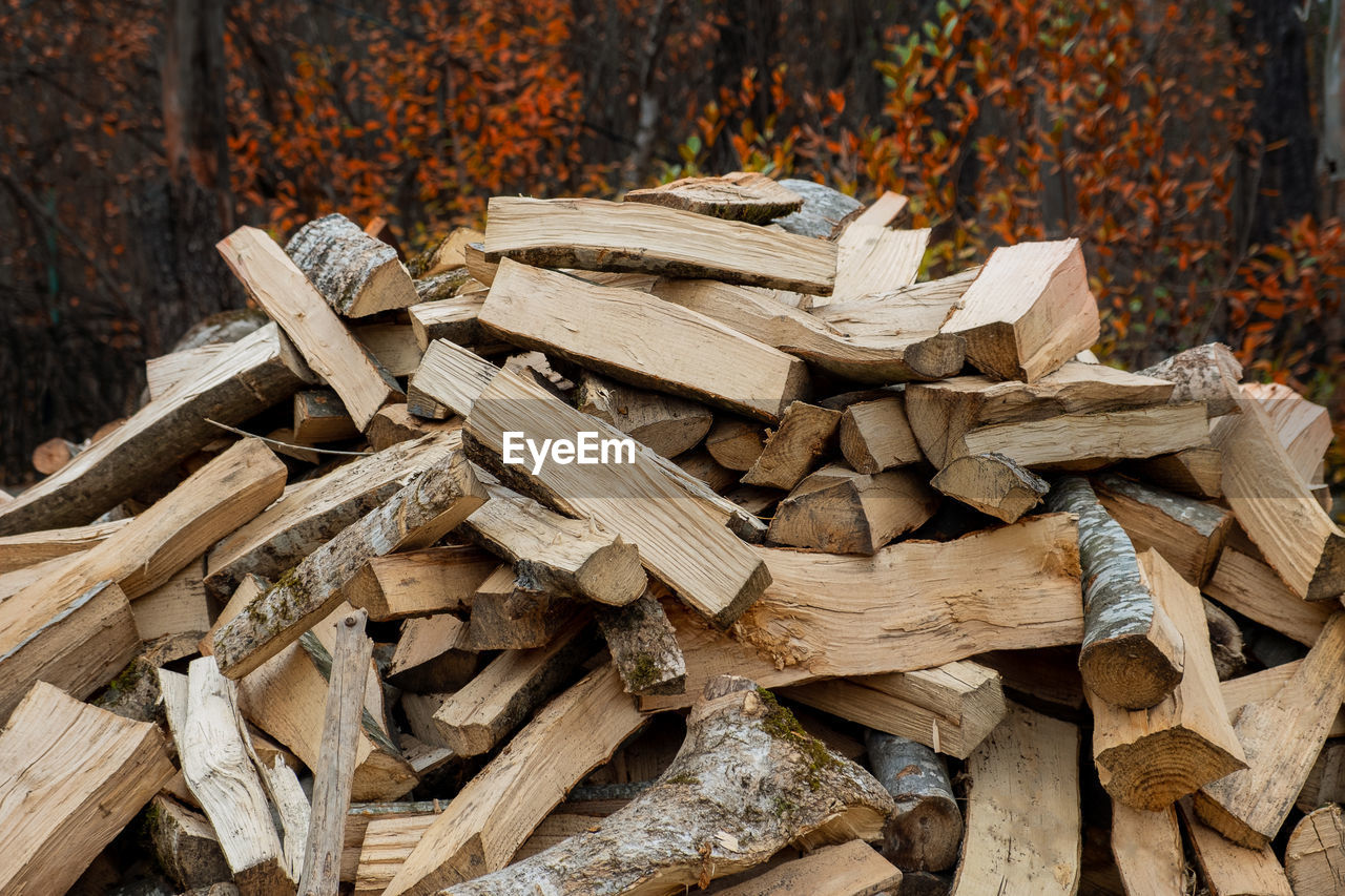 Chopped firewood for heating lies in a pile among the trees in late autumn. selective focus.