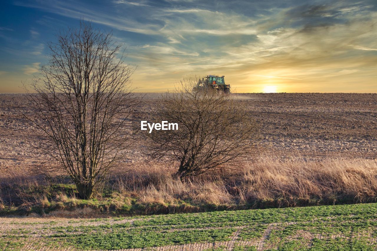 Scenic view of field against sky during sunset