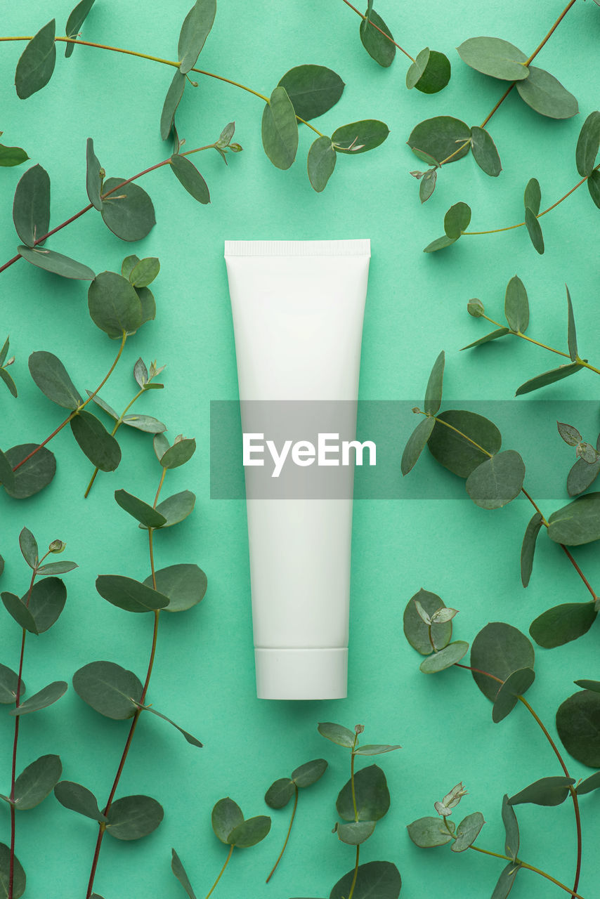 Green background with eucalyptus branches and a white tube for cosmetics. mokcup