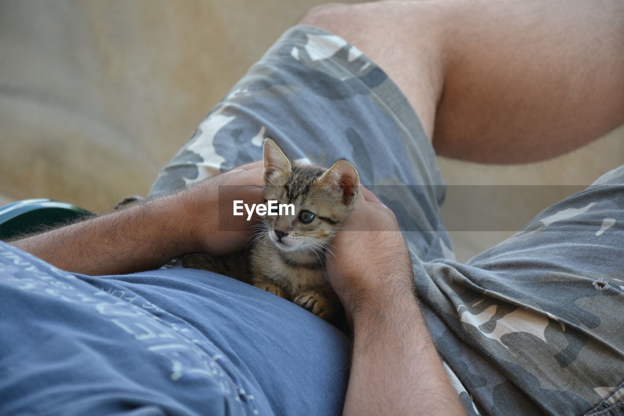 Close-up of man with kitten