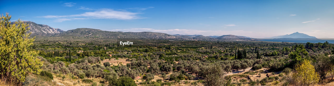 Scenic view of landscape and mountains against sky