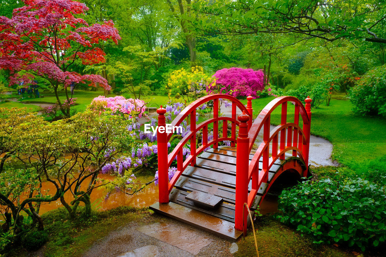 Japanese garden, park clingendael, the hague, netherlands