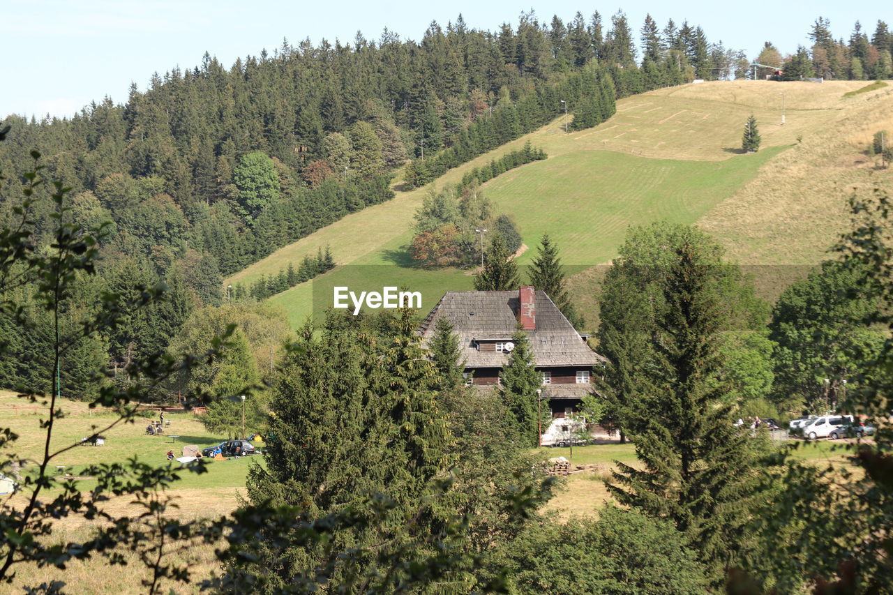 HIGH ANGLE VIEW OF TREES ON FIELD AGAINST HOUSES