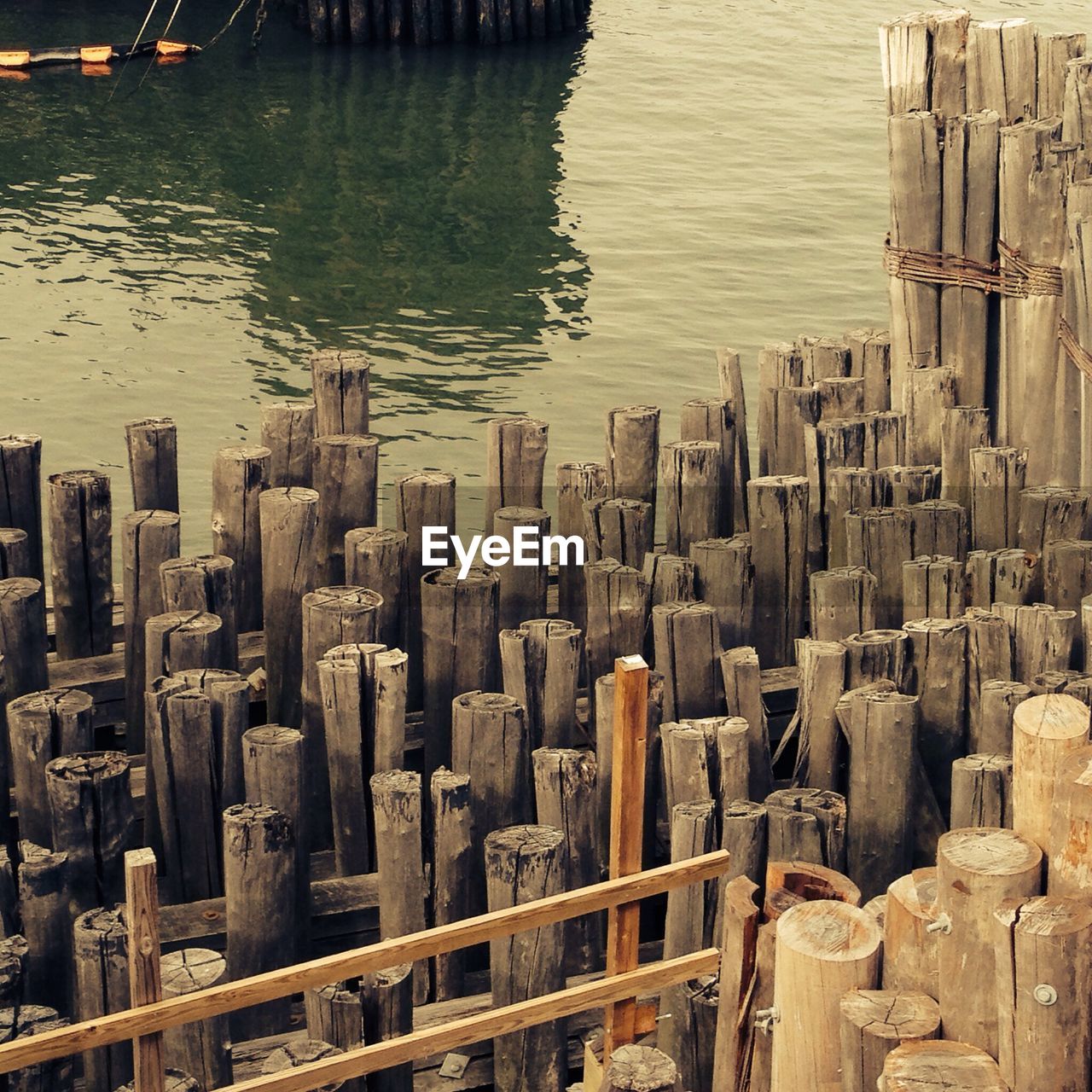 Close-up of wooden poles in water