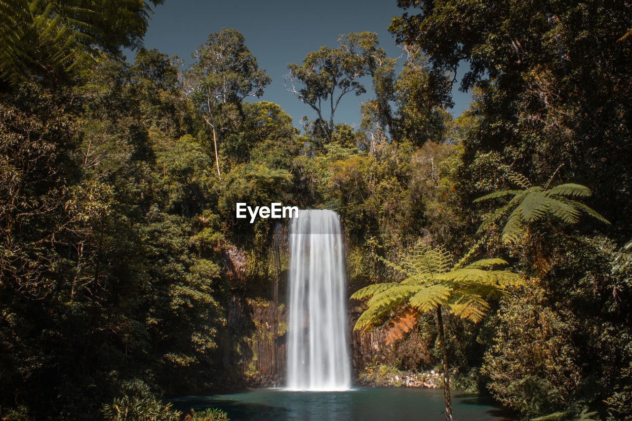 Waterfall in a tropical forest 