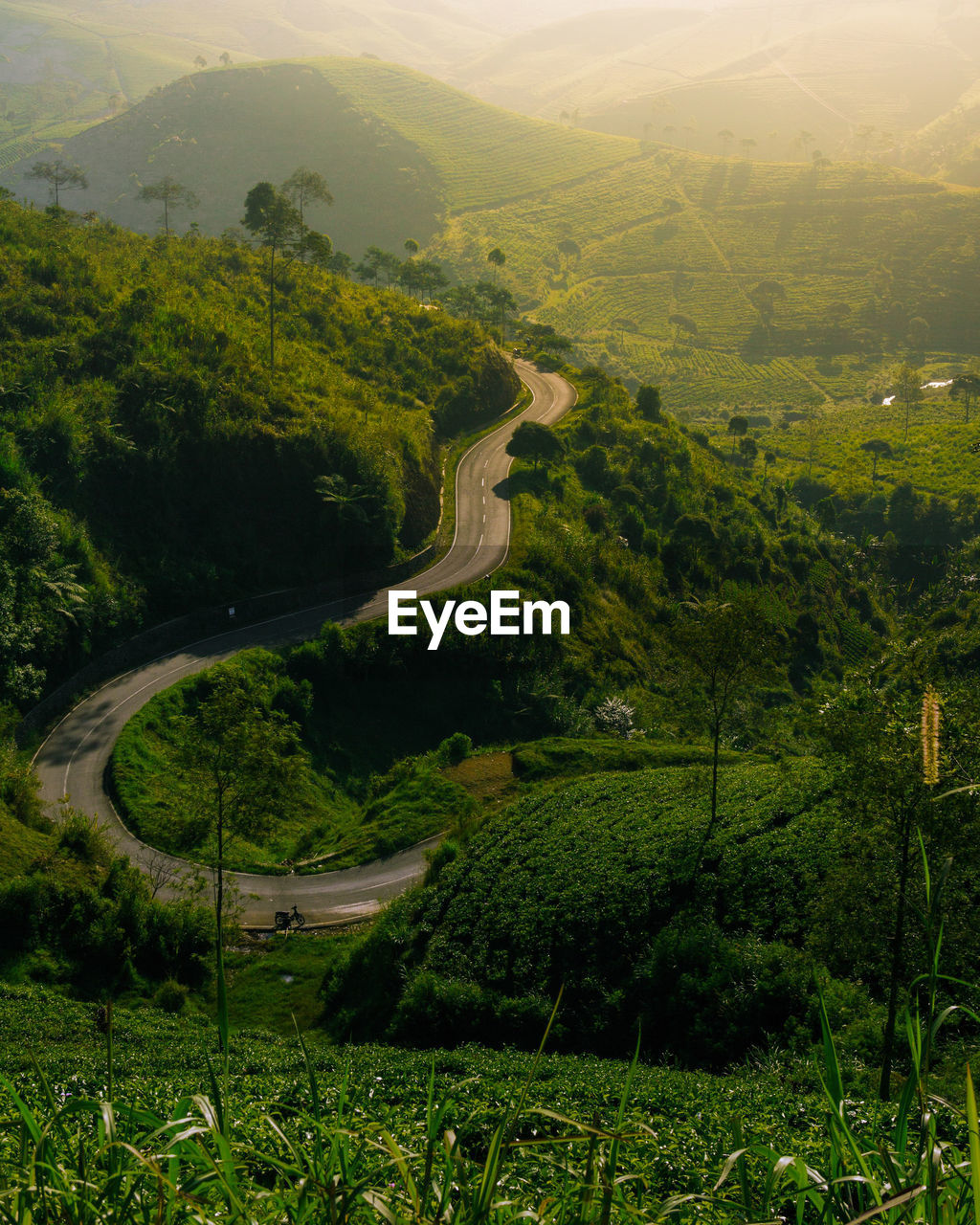 High angle view of road amidst landscape