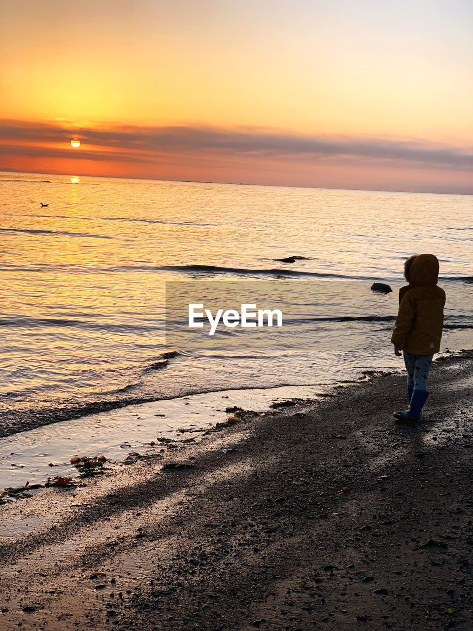 REAR VIEW OF PERSON STANDING ON BEACH