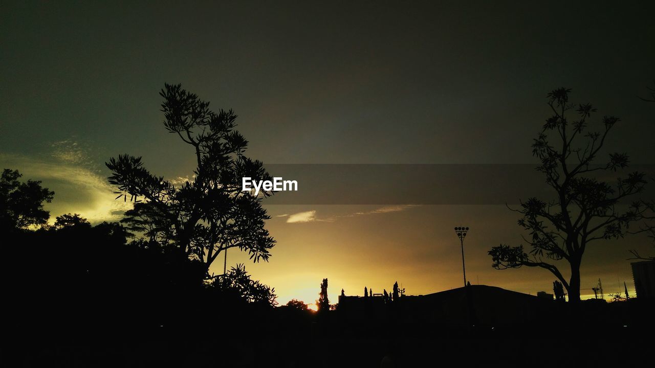 SILHOUETTE TREE AGAINST SKY AT SUNSET