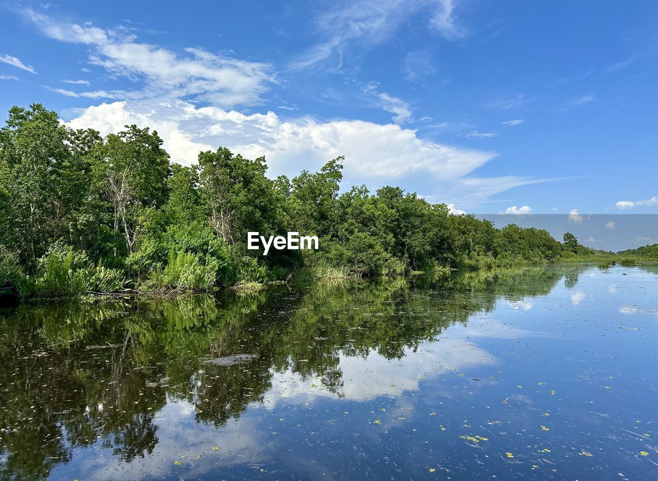 water, tree, reflection, nature, sky, plant, beauty in nature, body of water, scenics - nature, lake, environment, tranquility, cloud, blue, landscape, natural environment, no people, tranquil scene, land, forest, green, outdoors, travel destinations, travel, non-urban scene, reservoir, tourism, day, wetland, summer, idyllic, shore, tropical climate, social issues, lagoon, wilderness
