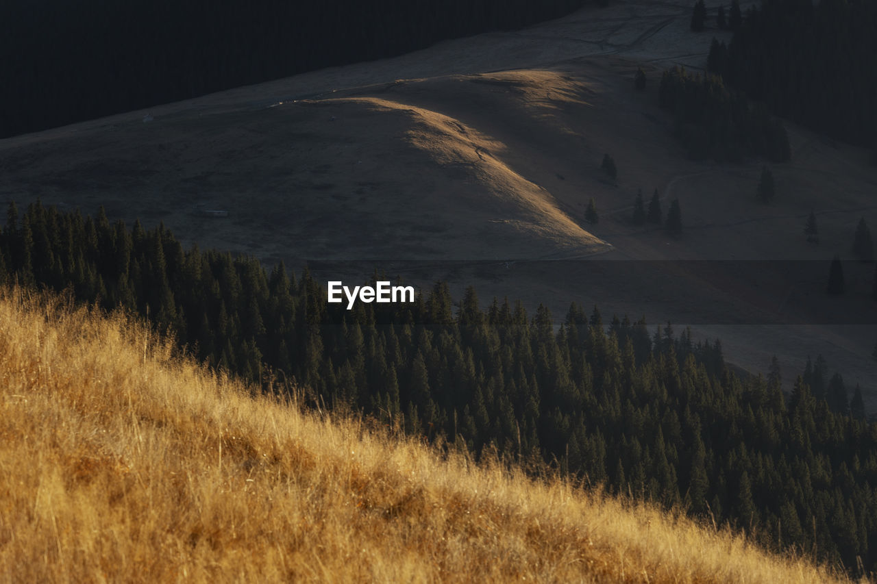 Scenic view of field by mountain