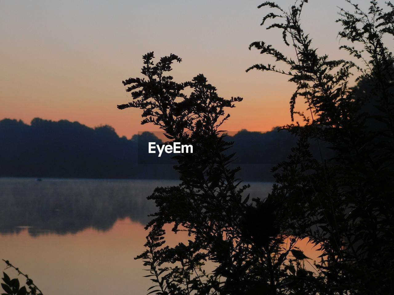 SILHOUETTE TREE BY LAKE AGAINST SKY AT SUNSET