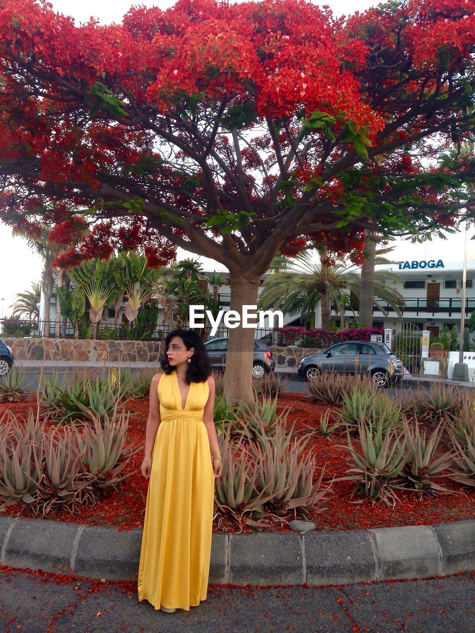 Full length of woman in yellow gown standing against flame tree