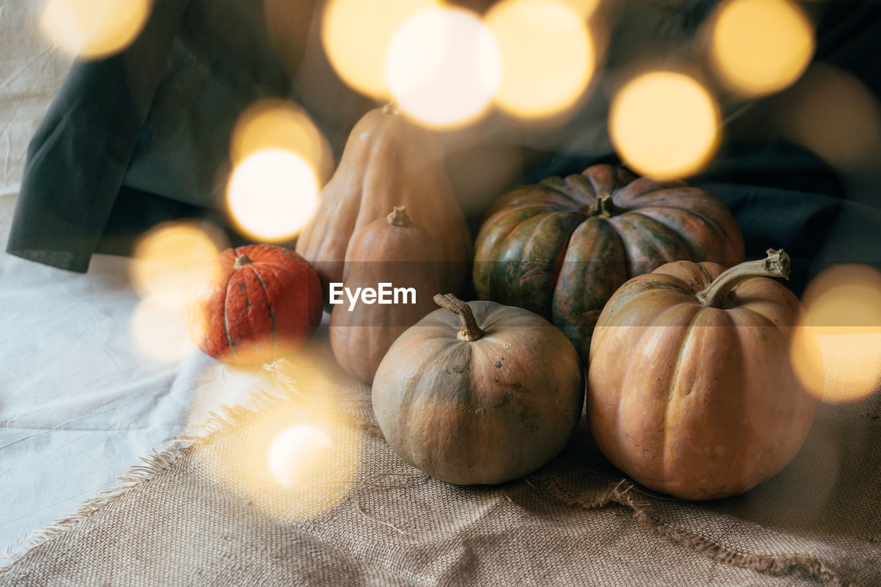 Ripe pumpkins of various shapes. bokeh from the festival lights. festive concept halloween party.