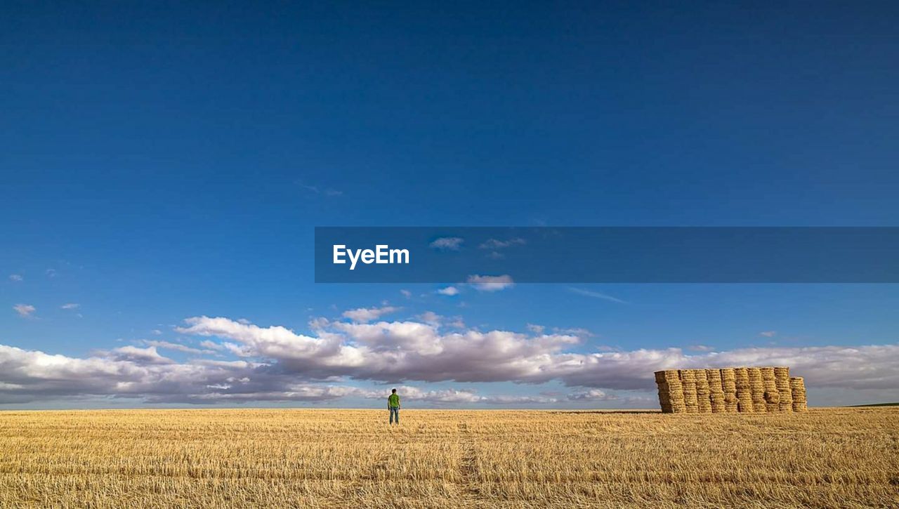 Scenic view of agricultural field against blue sky