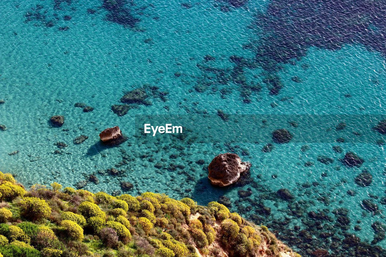 coral reef, water, underwater, reef, marine biology, high angle view, sea, nature, no people, coral, day, beauty in nature, blue, wildlife, animal wildlife, animal, coral reef fish, outdoors, undersea, land, animal themes, rock, sea life, tranquility, turquoise colored, beach