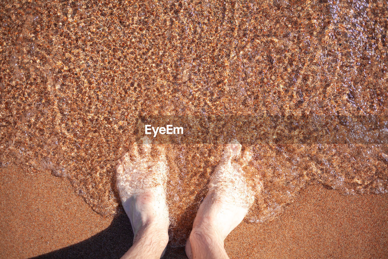 low section, human leg, one person, beach, land, sand, barefoot, standing, nature, lifestyles, water, high angle view, leisure activity, human foot, day, personal perspective, soil, sunlight, limb, wet, human limb, adult, sea, vacation, directly above, holiday, trip, outdoors, women, brown, close-up