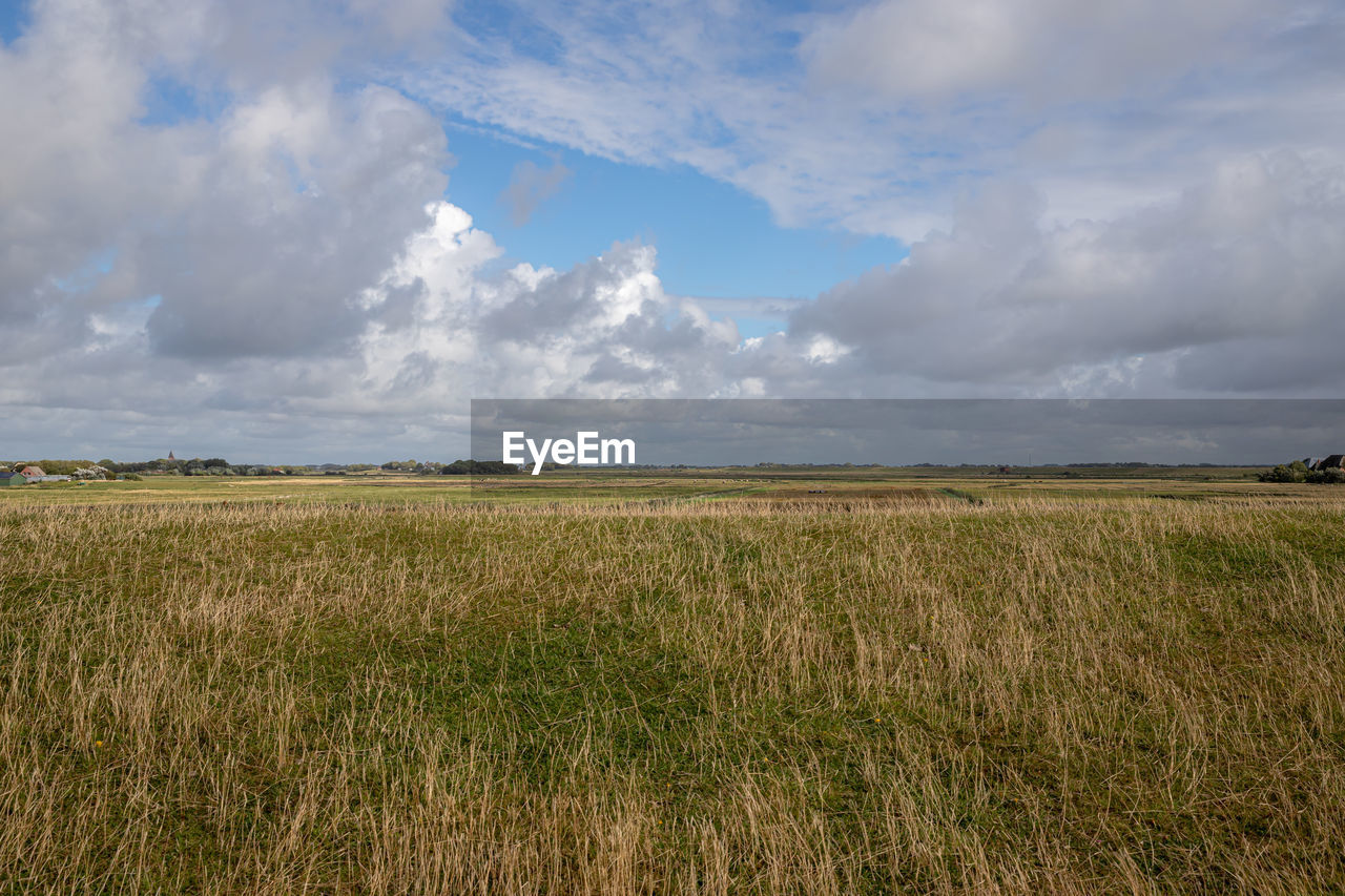 SCENIC VIEW OF FARM AGAINST SKY