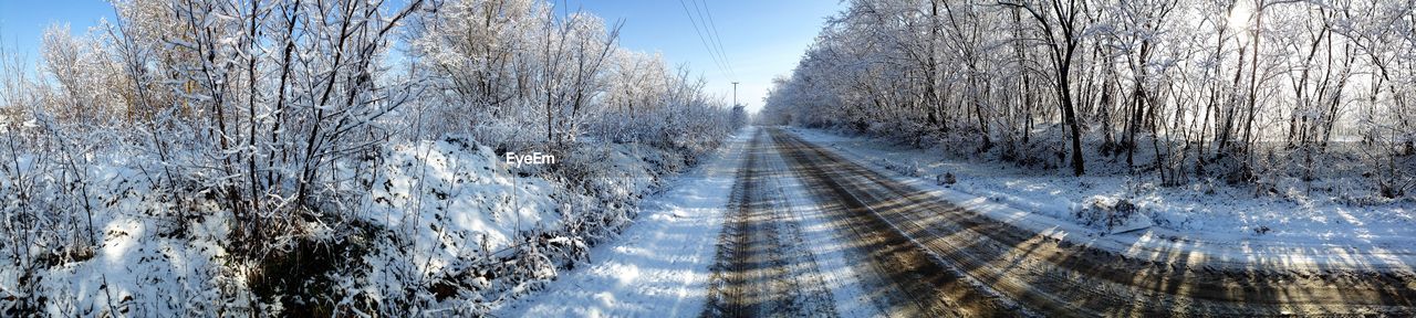 Snow covered bare trees in winter