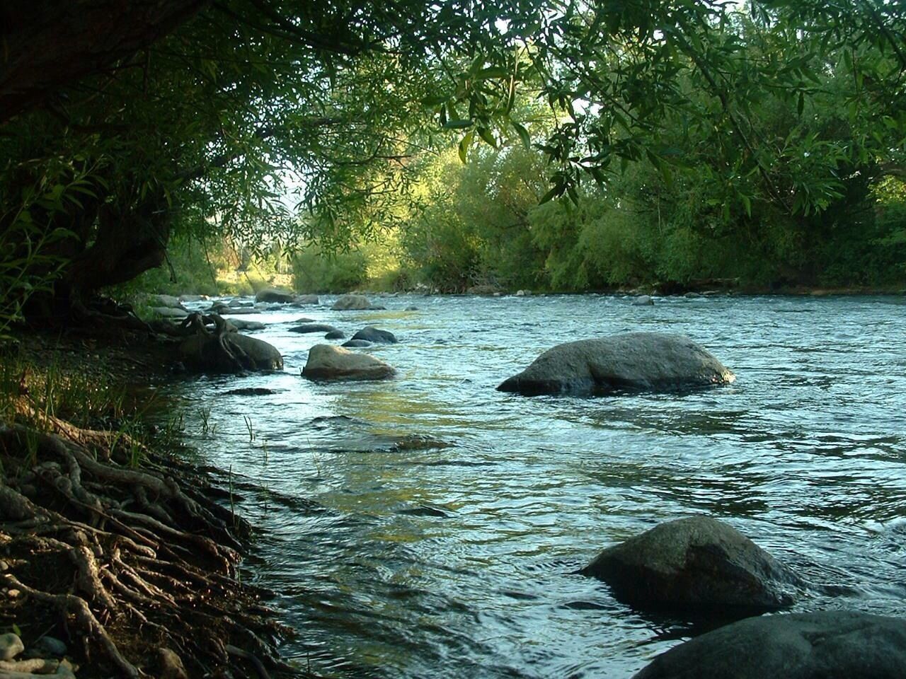 SCENIC VIEW OF RIVER FLOWING THROUGH ROCKS