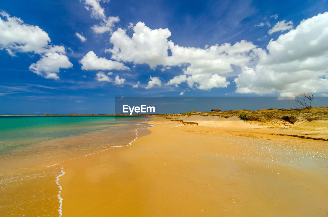 Scenic view of beach