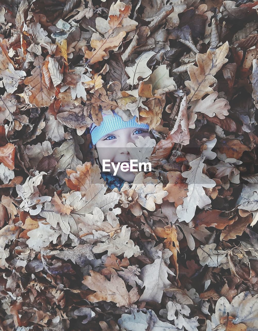 High angle portrait of girl with dry leaves