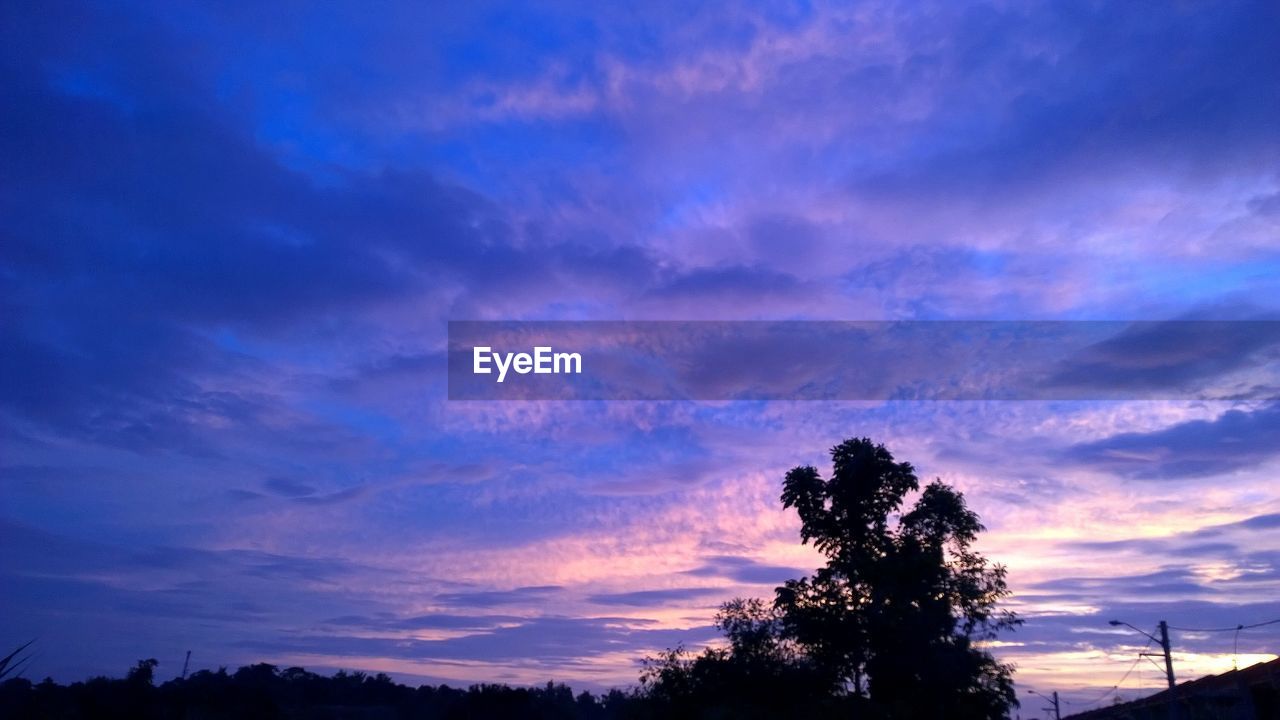 LOW ANGLE VIEW OF SILHOUETTE TREES AGAINST SUNSET SKY