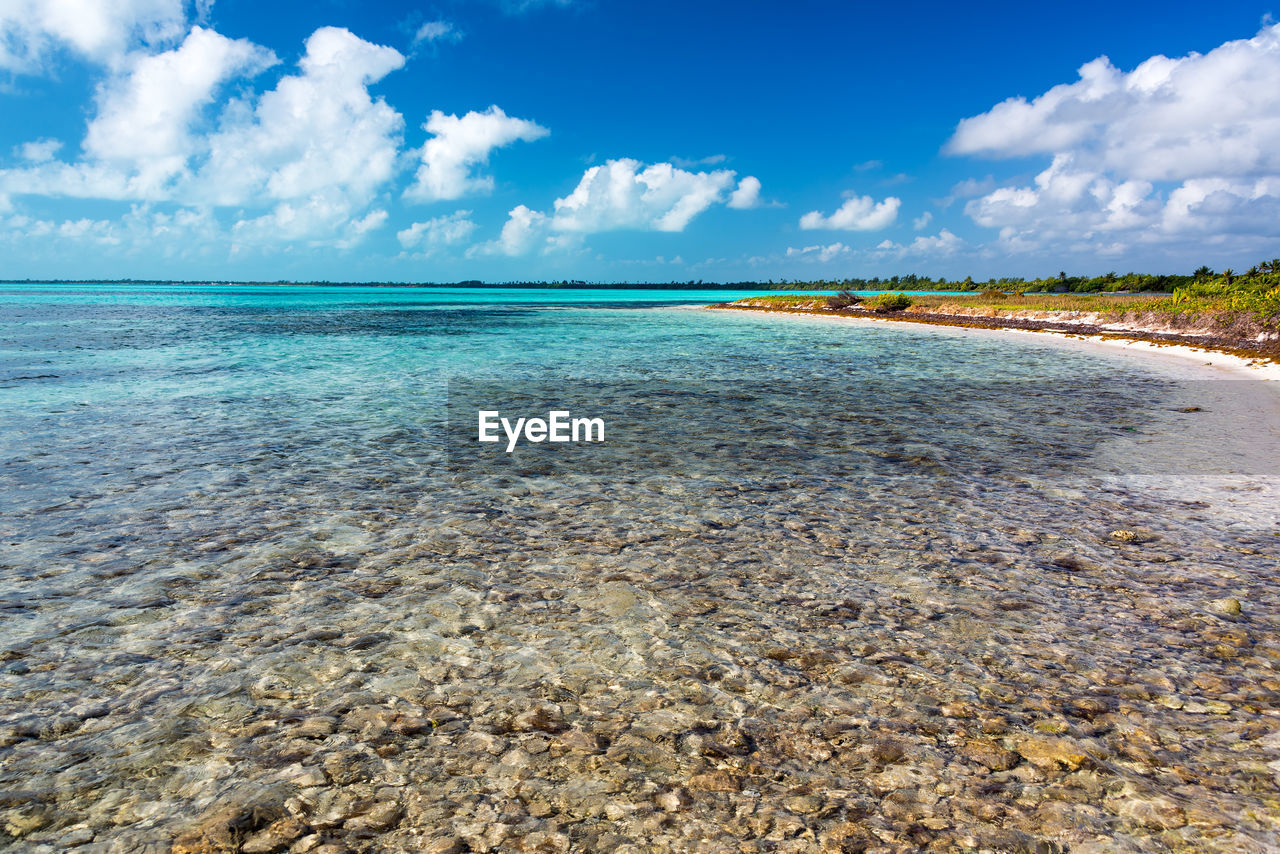 Scenic view of beach against sky during sunny day