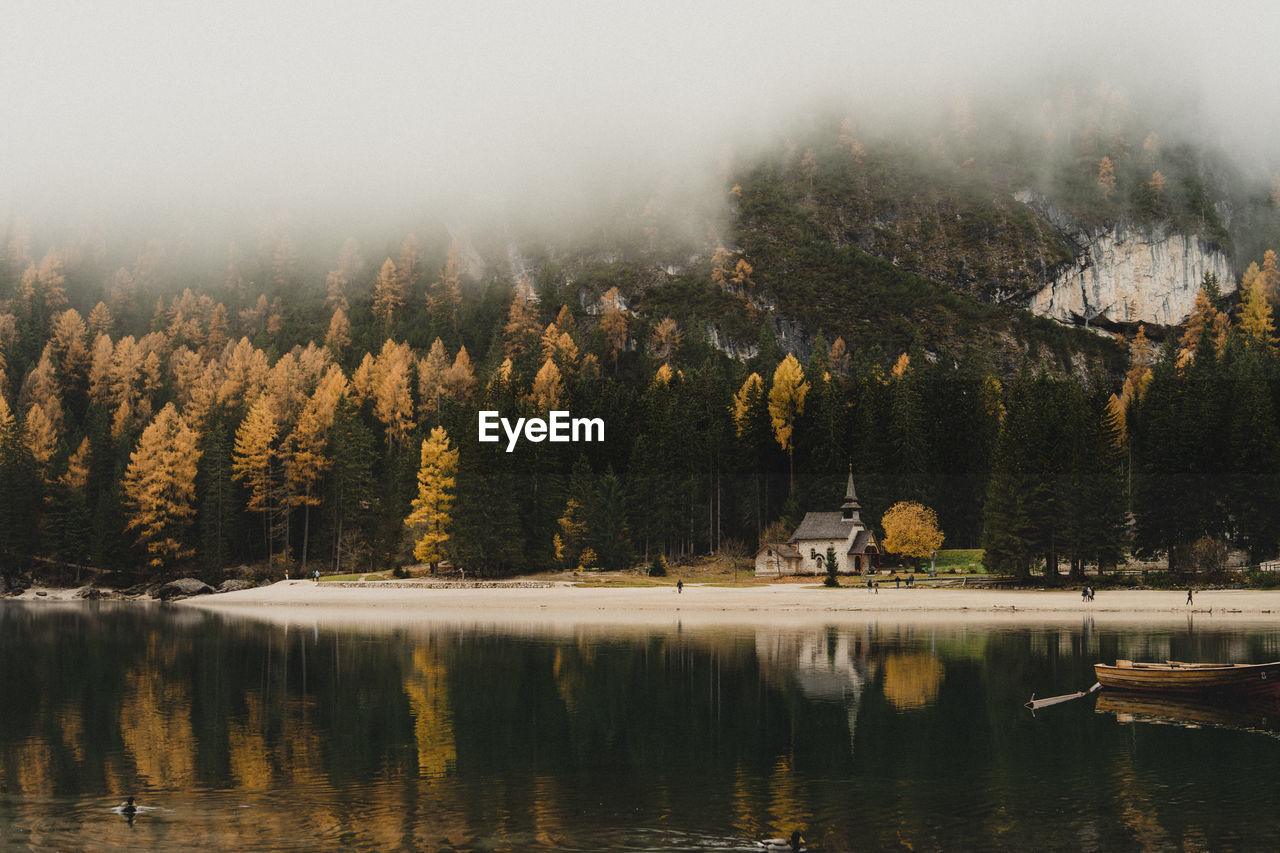 SCENIC VIEW OF LAKE AGAINST TREES IN FOREST