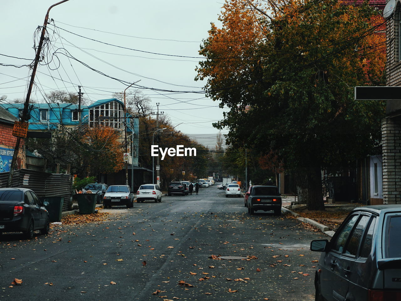 Cars on street in city against sky