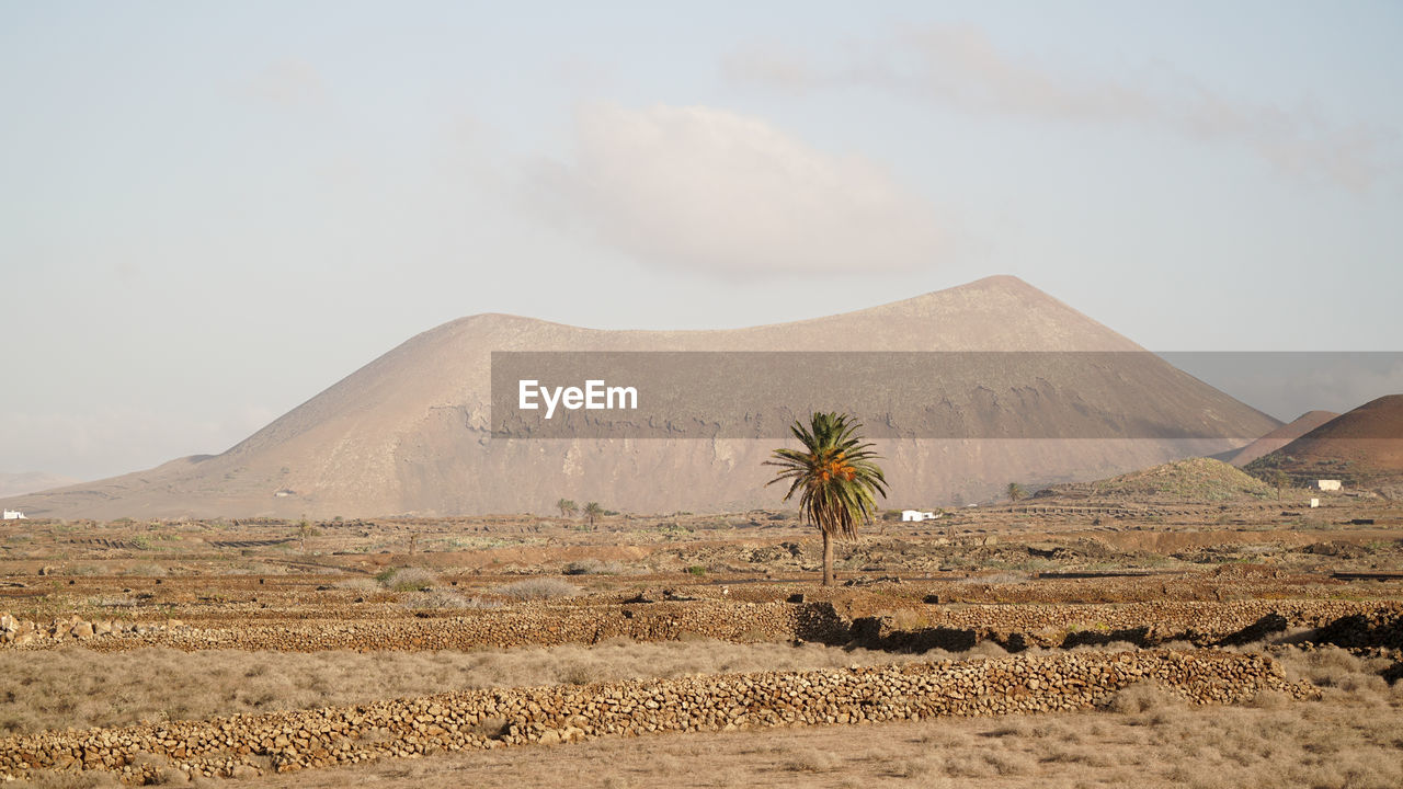 Scenic view of desert against sky