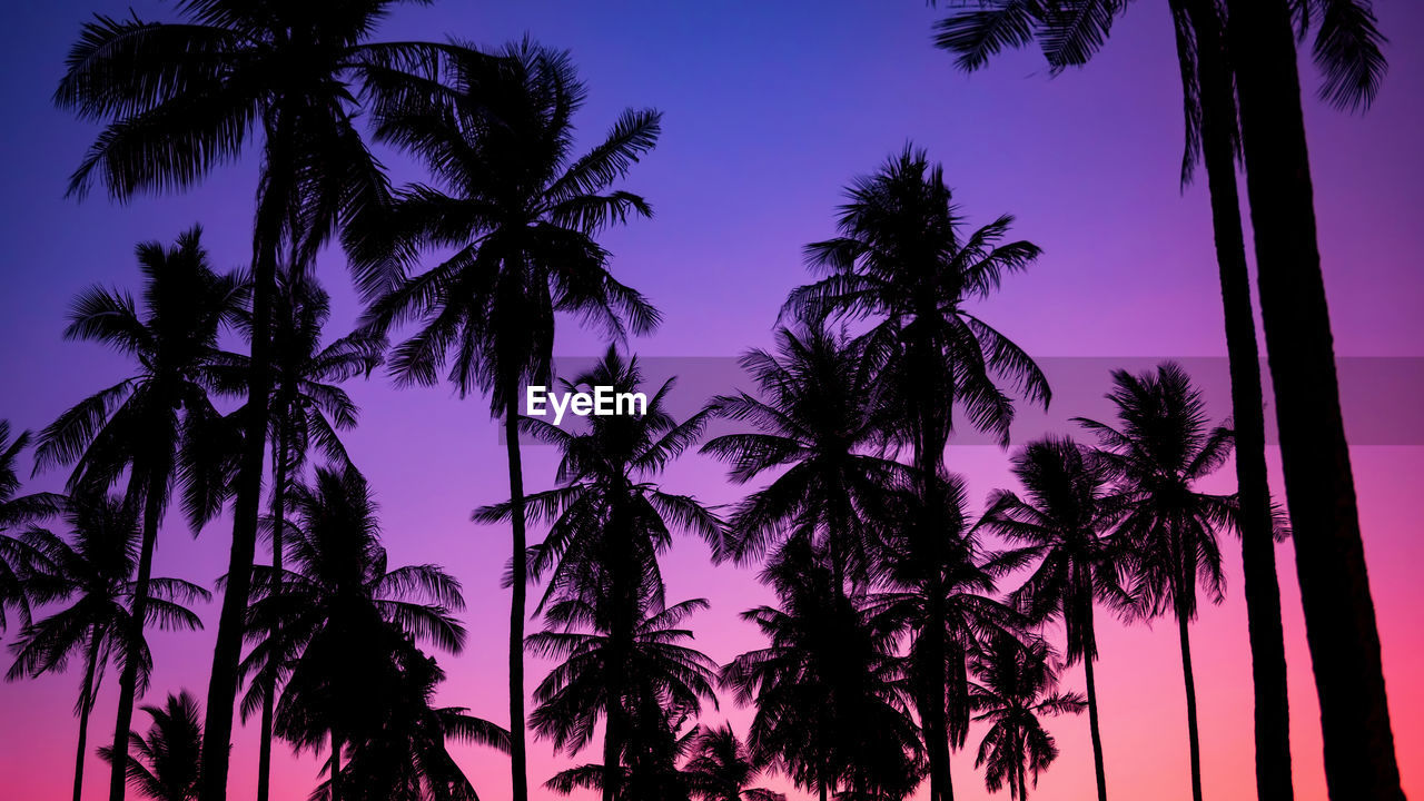 Silhouette palm or coconut trees in exotic tropical krabi beach at dusk with twilight sky, thailand