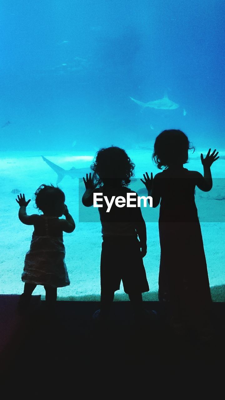 Silhouette children watching fishes in aquarium