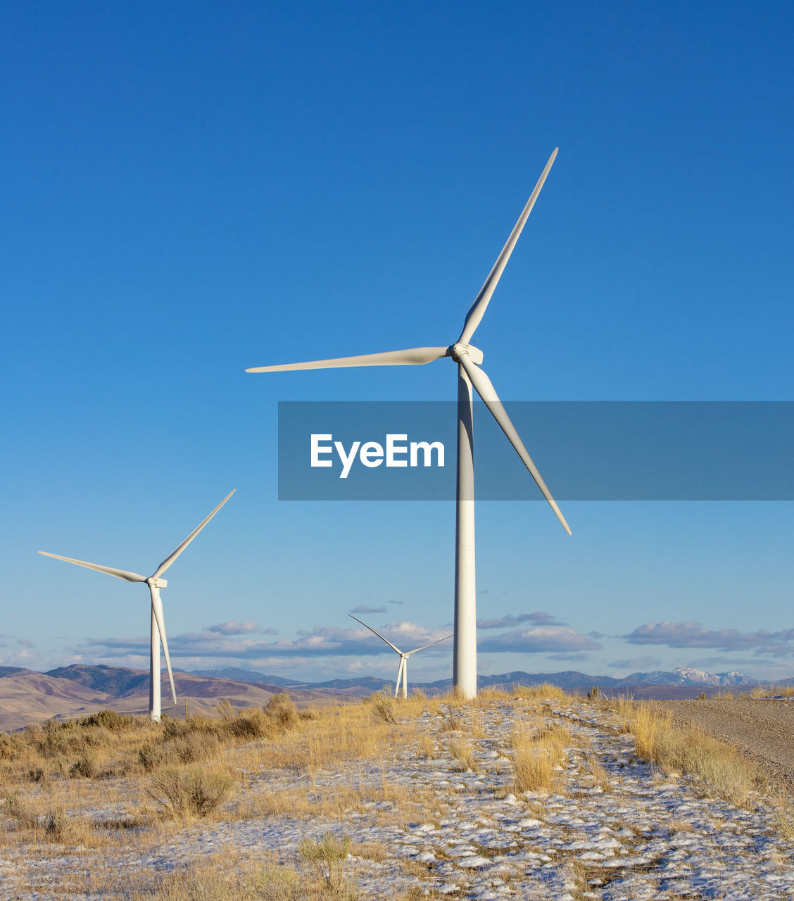 Wind turbines in a field with blue sky