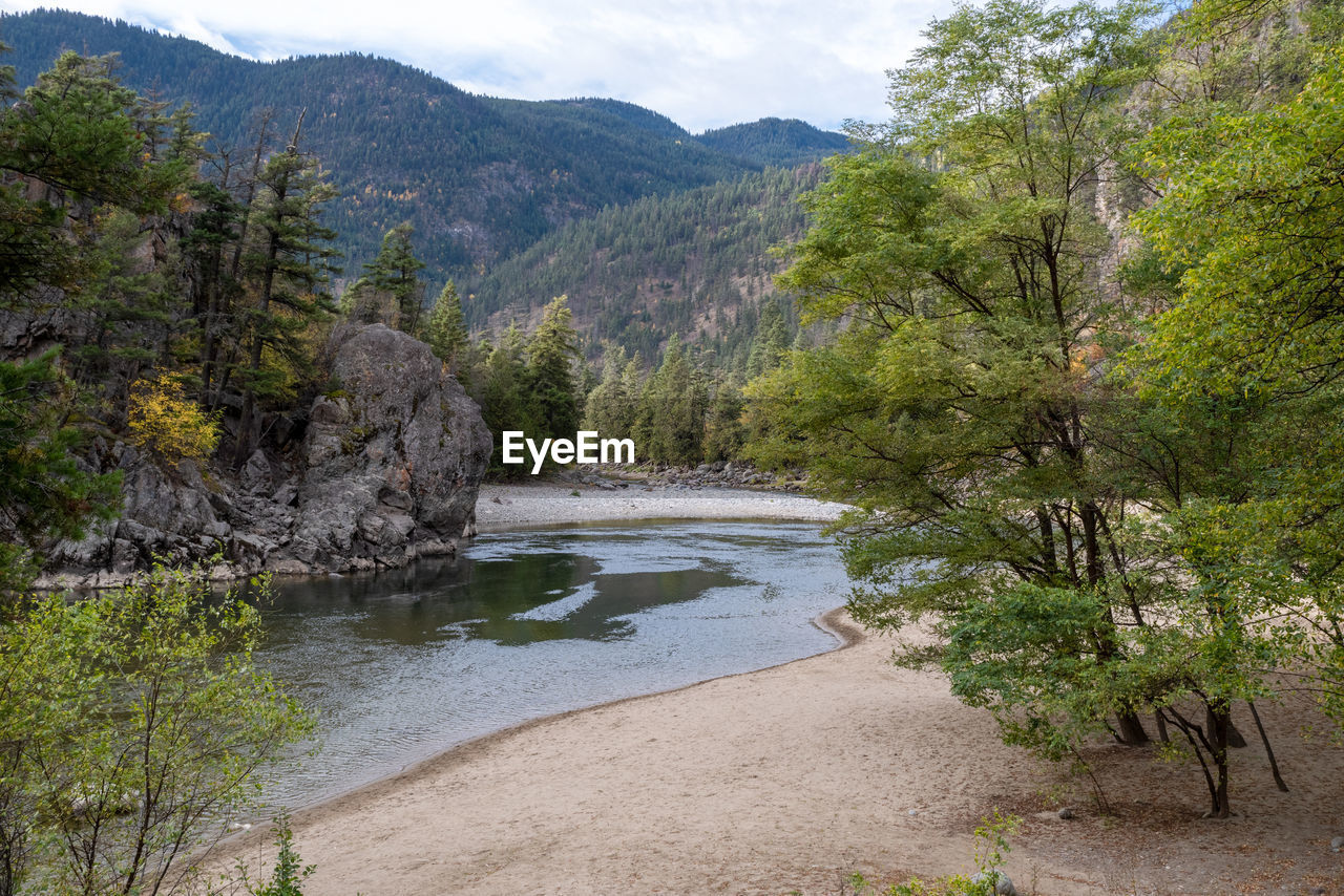 Scenic view of river amidst trees