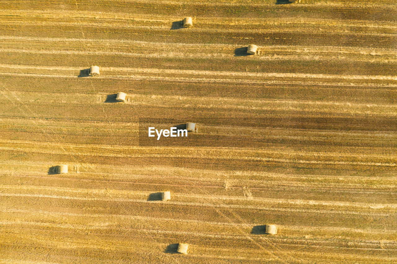 Aerial drone view of mown field with scattered hay bale rolls