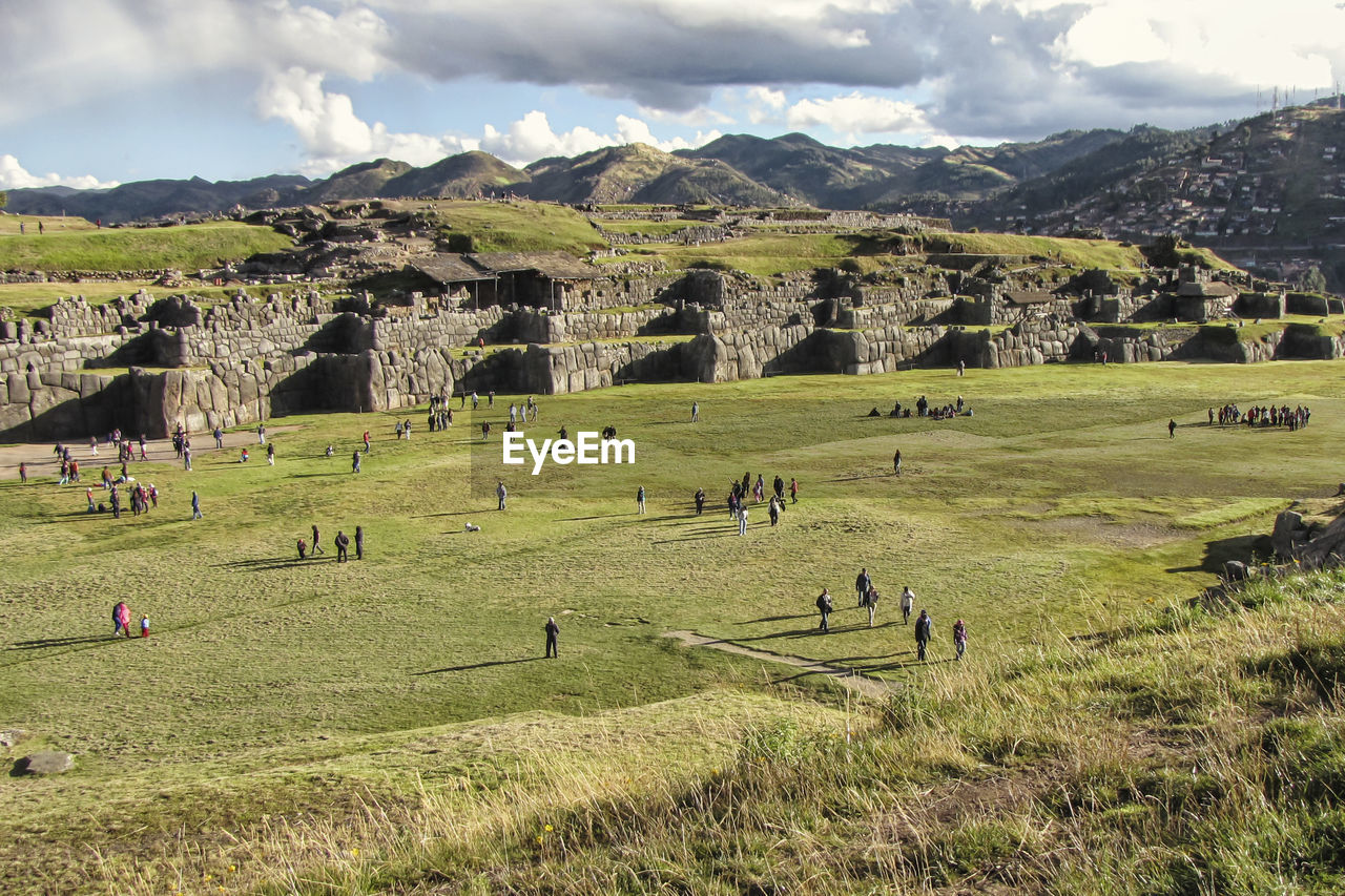 FLOCK OF SHEEP GRAZING ON FIELD AGAINST MOUNTAINS