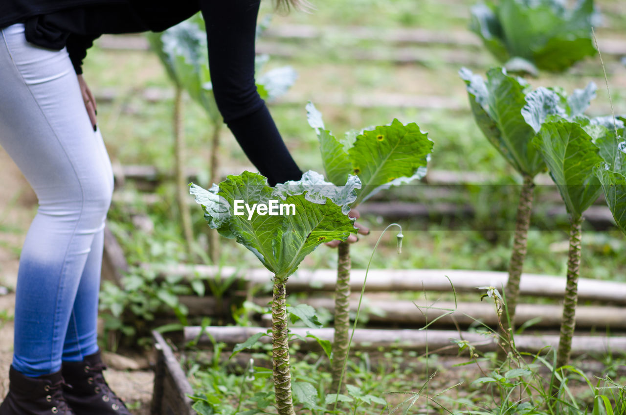 Low section of woman standing on ground