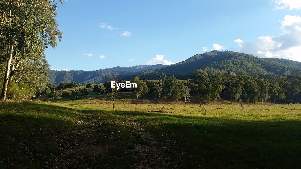 SCENIC VIEW OF GOLF COURSE