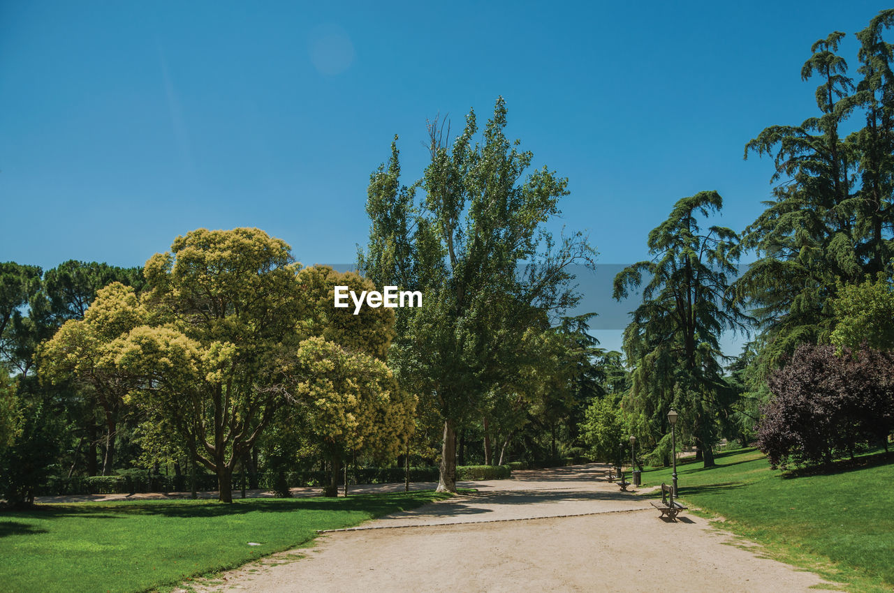 Dirt pathway with benches among trees and lush vegetation on a leafy garden in madrid, spain.