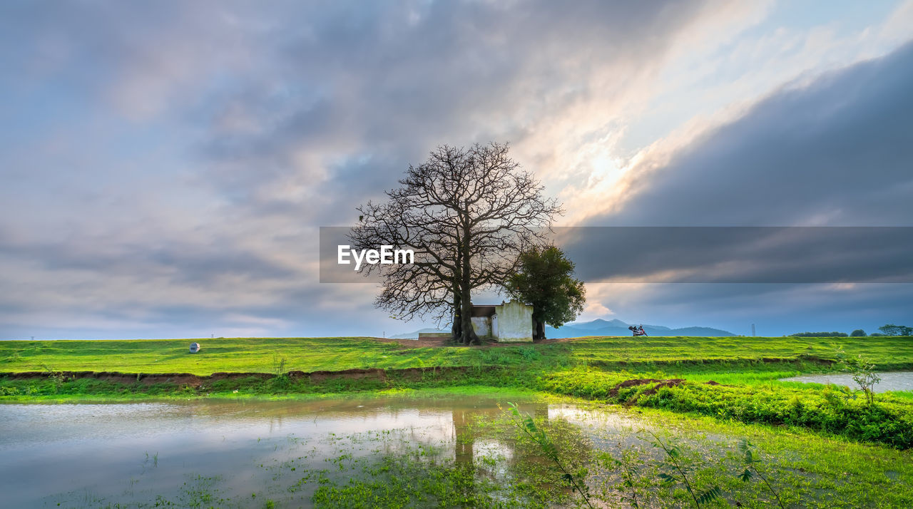 SCENIC VIEW OF FARM AGAINST SKY