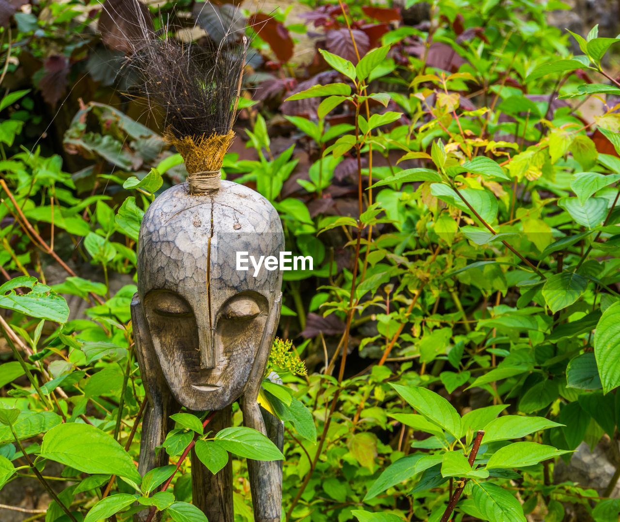 CLOSE-UP OF BUDDHA STATUE